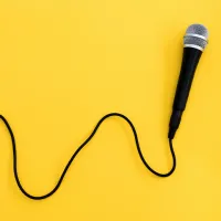 Micro interview