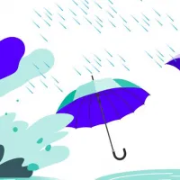 Après la pluie