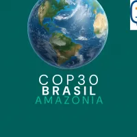 questions vives cop 30