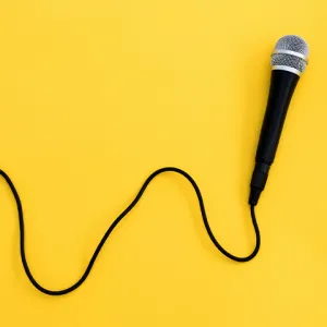 Micro interview