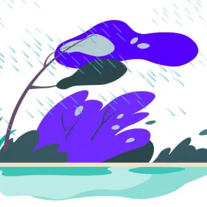 Après la pluie