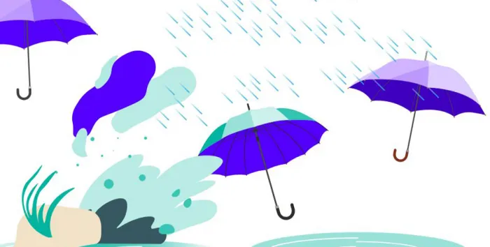 Après la pluie